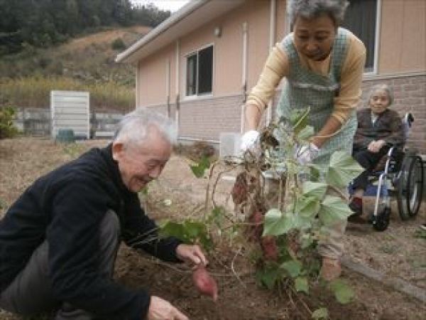 畑もあります